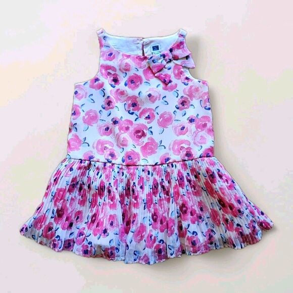 Janie and Jack Floral Dress Size 12-18 Months Pink Flower Pleated Drop Waist - Picture 1 of 3